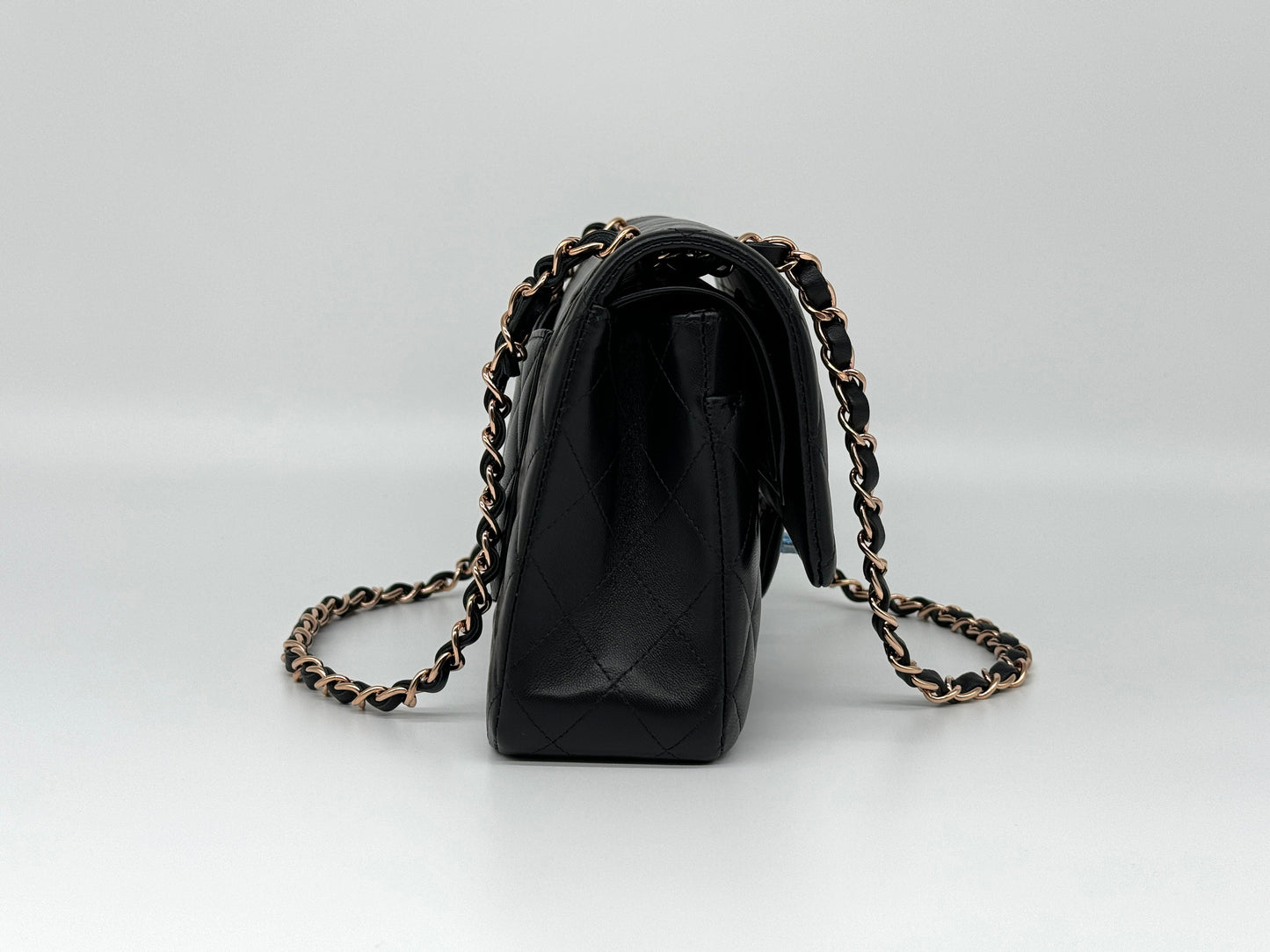 Sacche di moda